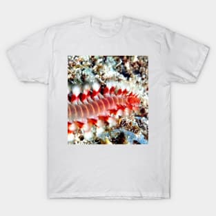 Bearded Fire Worm T-Shirt